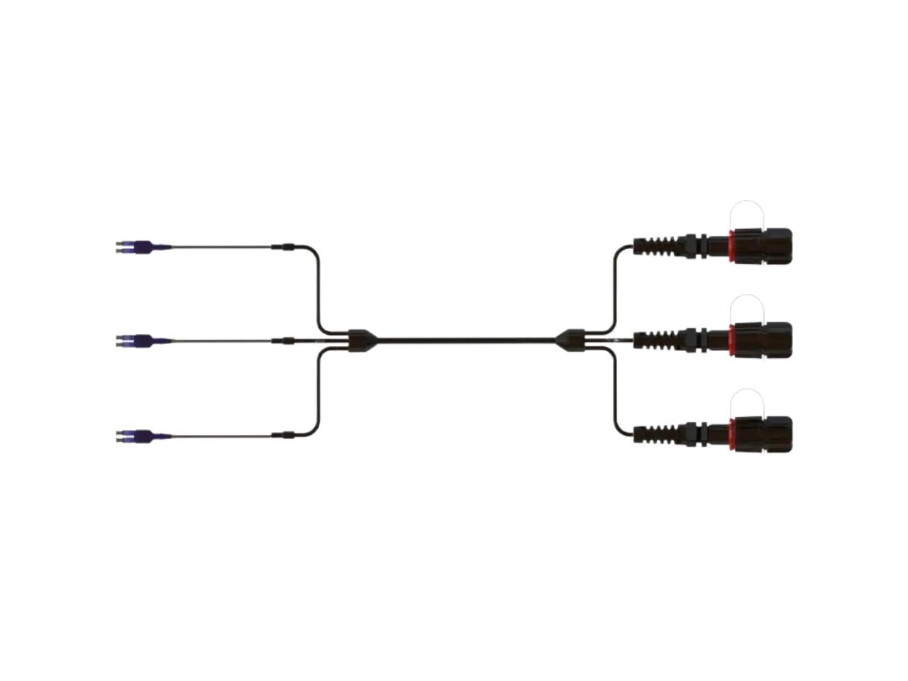 Fiber-Only Connectivity
