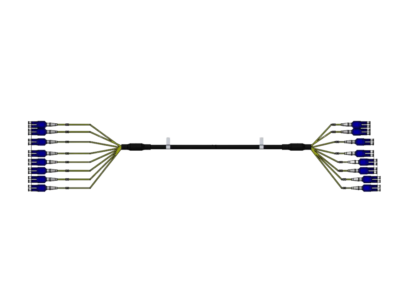 Fiber Trunk and Jumper Assemblies