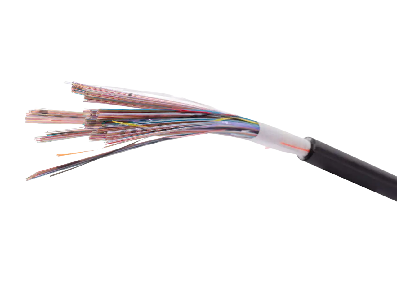 Fijukura Spider web cable