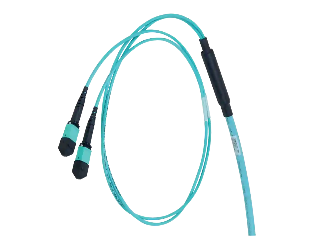 MTP-MPO Harness Cables