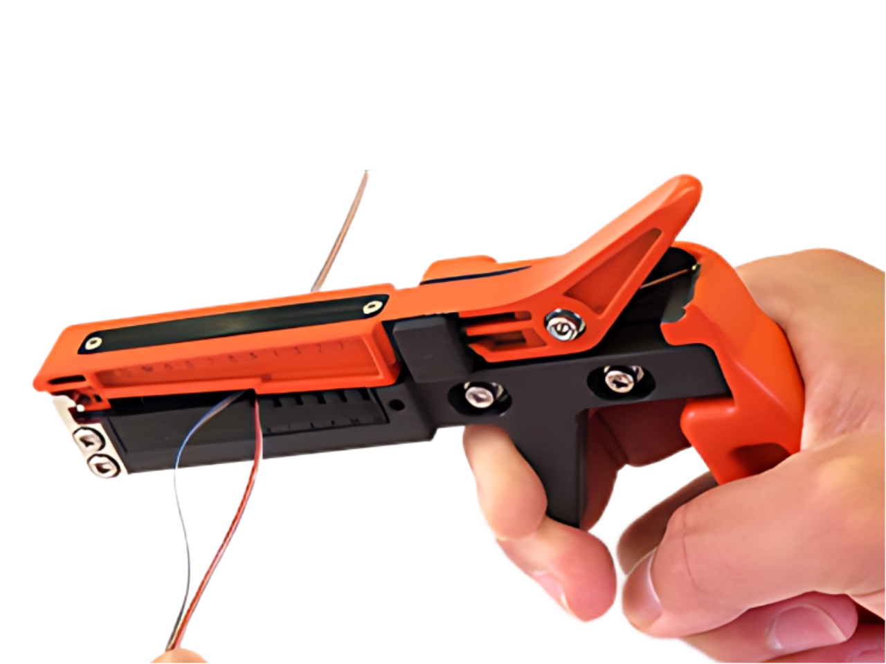 Ribbon separation workflow